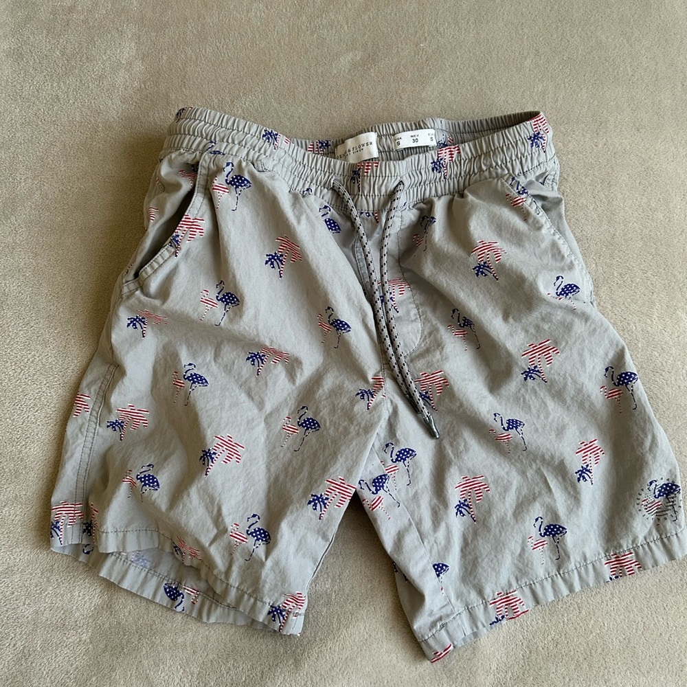 Gray Printed Men's Shorts